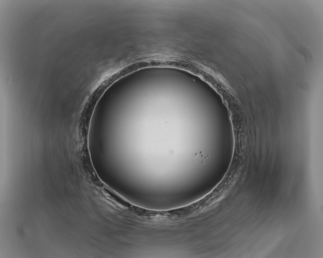 X0000112801160200908281522