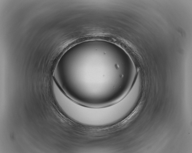 X0000112801161200908281522