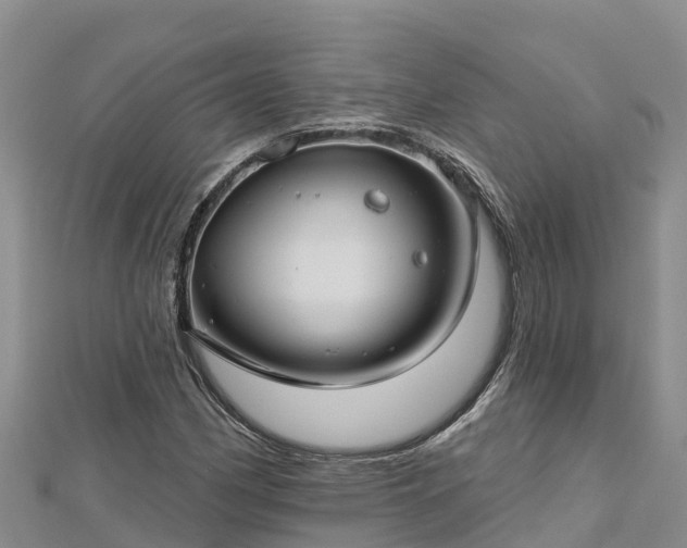 X0000112801162200908281522