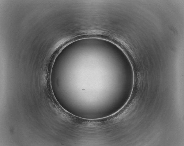 X0000112801163200908281522