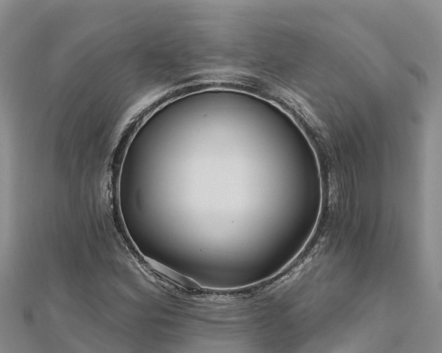 X0000112801164200908281522