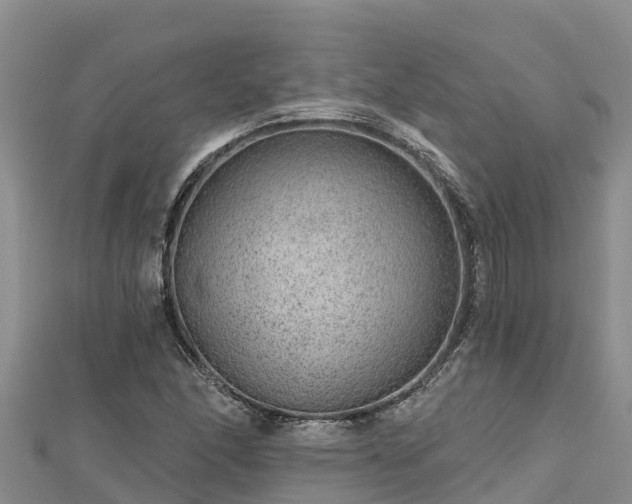 X0000112801166200908281522