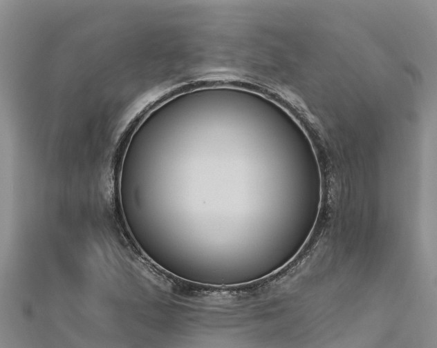 X0000112801167200908281522