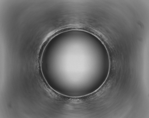 X0000112801168200908281522