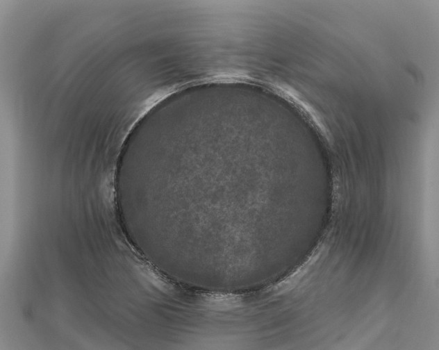 X0000112801170200908281522