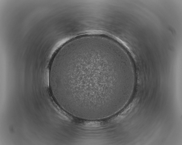 X0000112801171200908281522