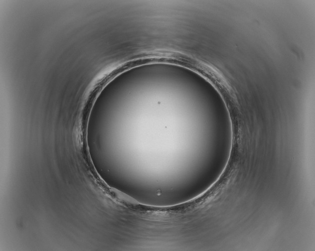 X0000112801172200908281522