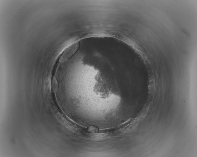 X0000112801173200908281522