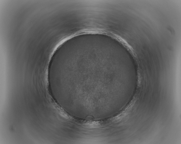 X0000112801174200908281522