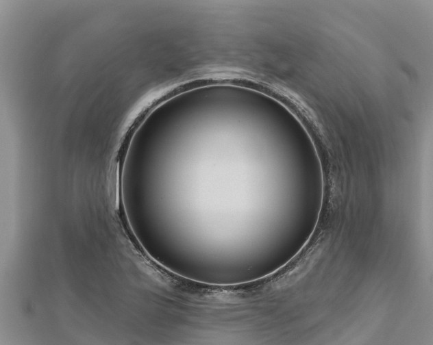 X0000112801175200908281522