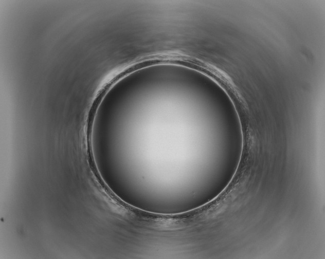 X0000112801176200908281522