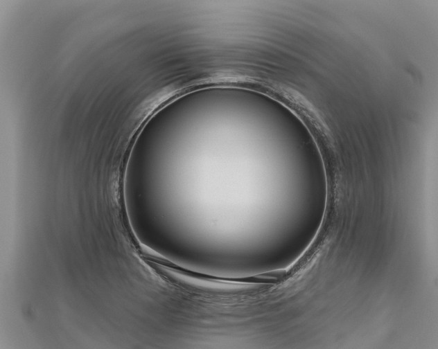 X0000112801177200908281522