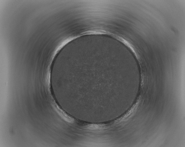 X0000112801179200908281522