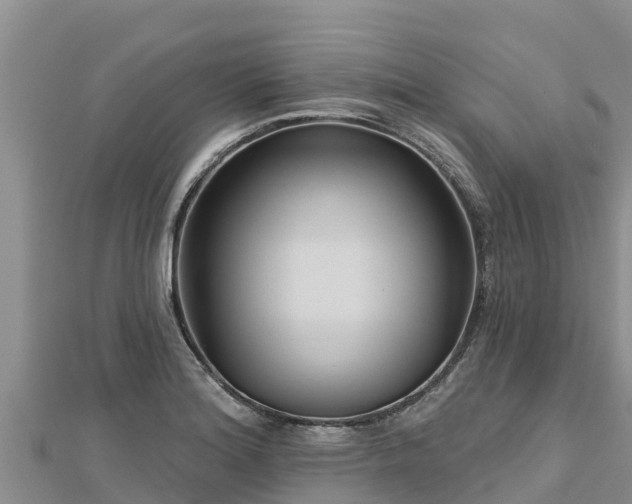 X0000112801180200908281522