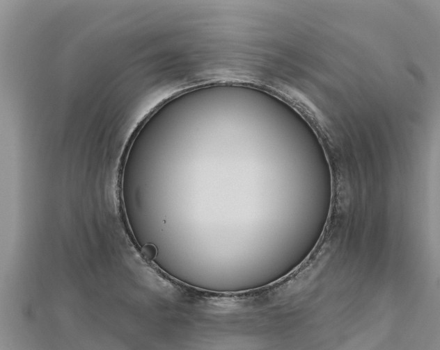 X0000112801182200908281522