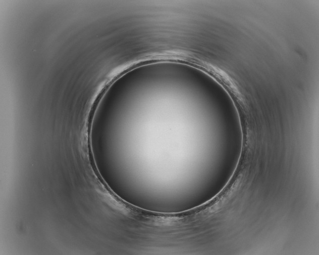 X0000112801184200908281522