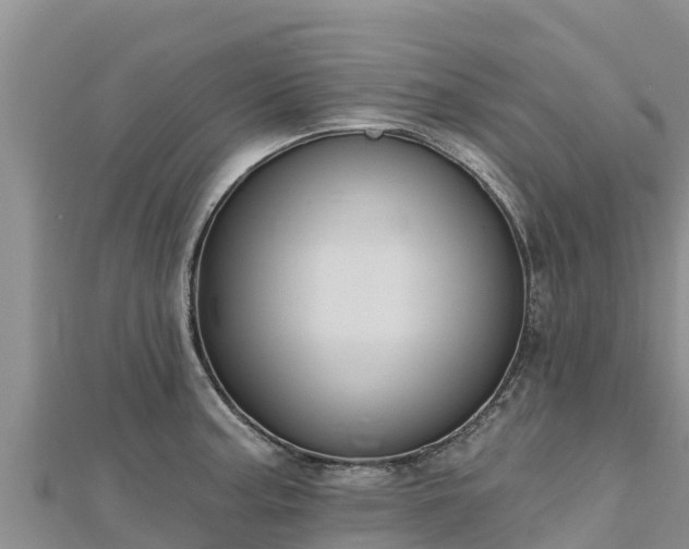 X0000112801187200908281522