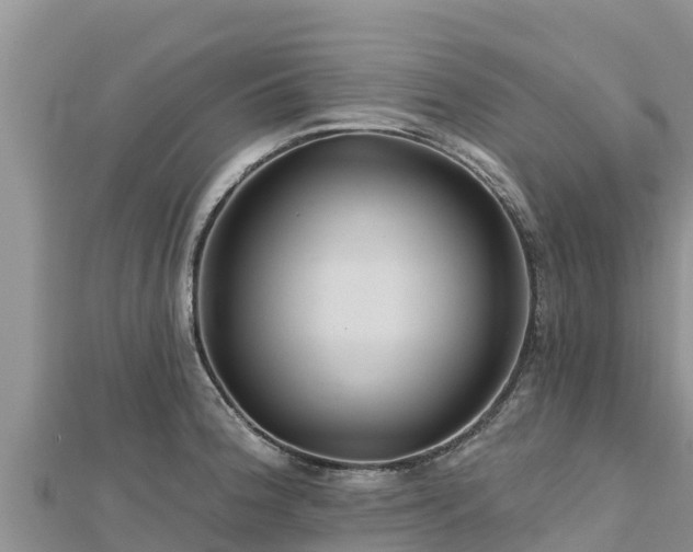 X0000112801188200908281522