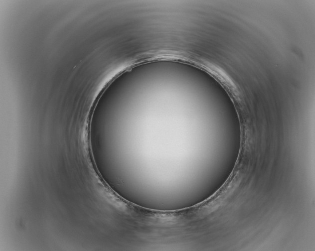 X0000112801190200908281522
