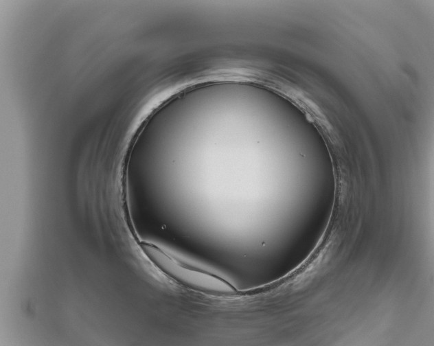 X0000112801192200908281521