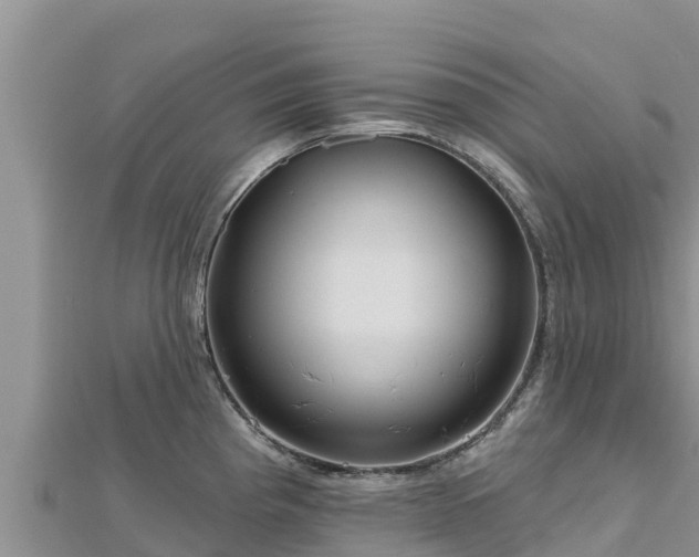 X0000112801193200908281521