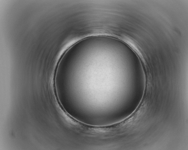 X0000112801197200908281521