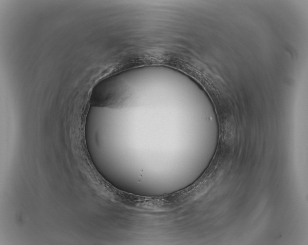 X0000112801201200908281521