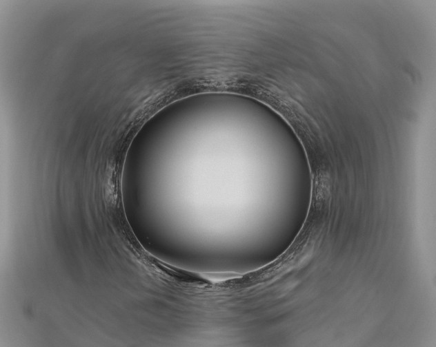 X0000112801202200908281521