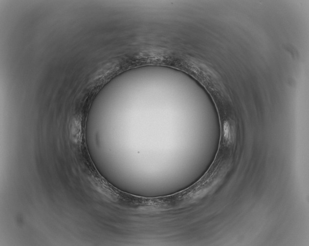 X0000112801203200908281521