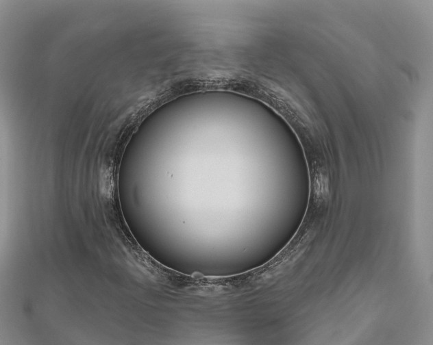 X0000112801204200908281521