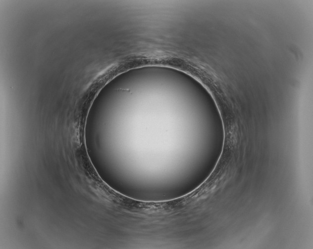 X0000112801205200908281521