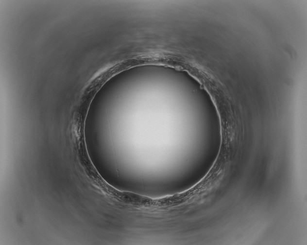 X0000112801206200908281521