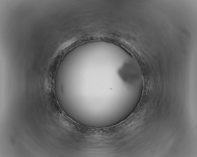 X0000112801207200908281521