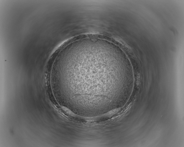 X0000112801208200908281521