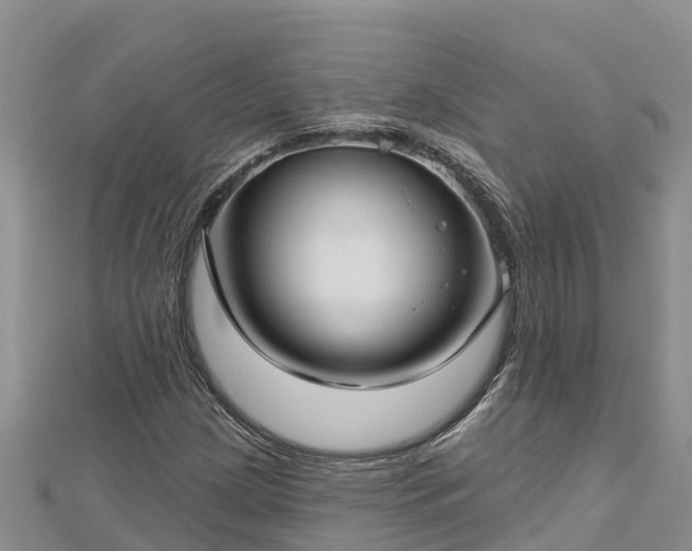 X0000112801209200908281521