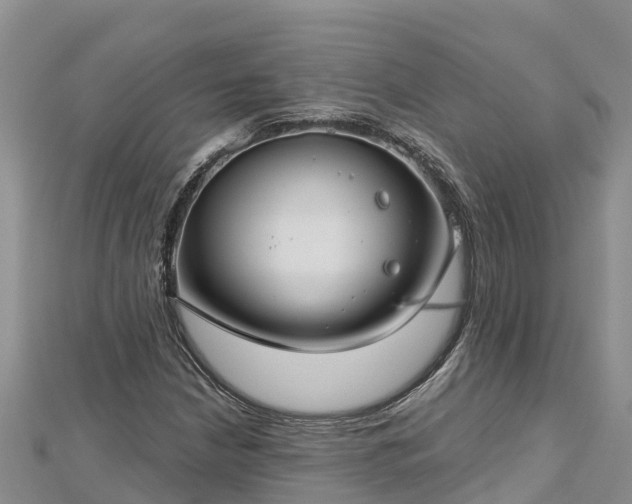 X0000112801210200908281521