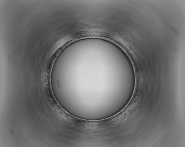 X0000112801211200908281521
