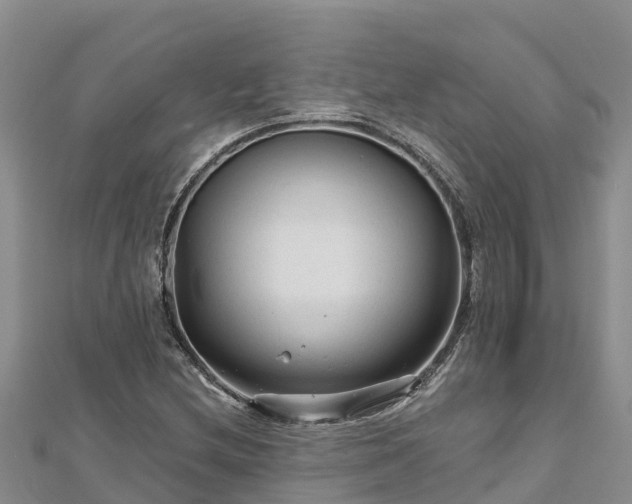 X0000112801212200908281521