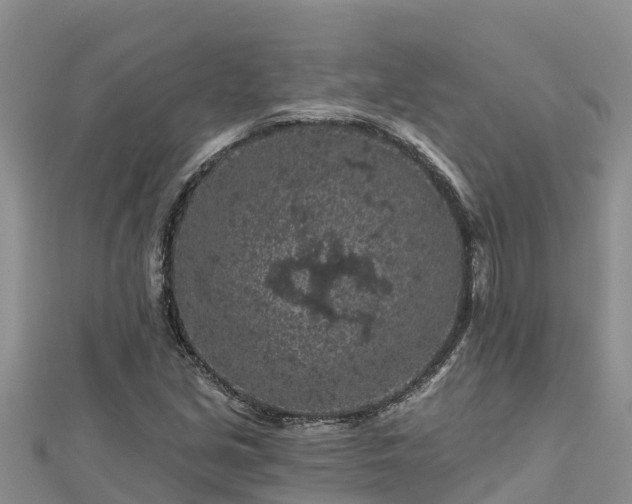 X0000112801213200908281521