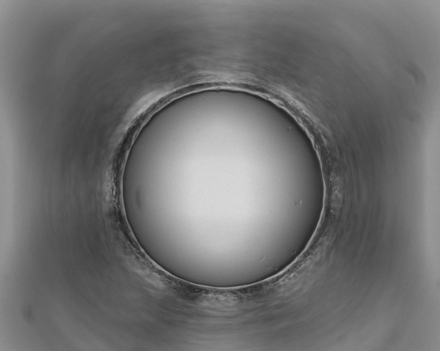 X0000112801215200908281521