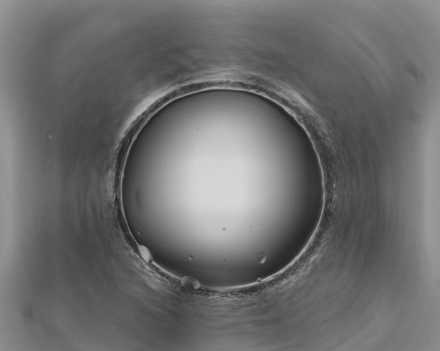 X0000112801216200908281521