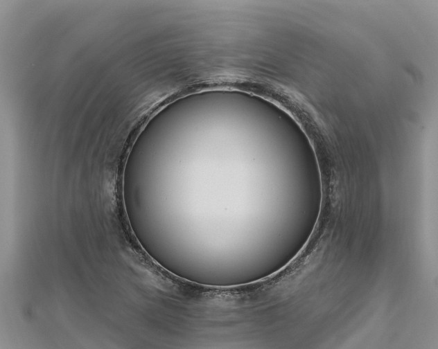 X0000112801217200908281521