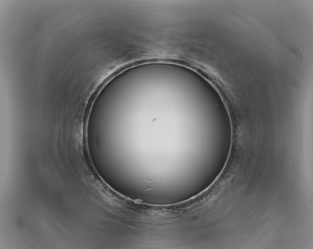 X0000112801220200908281521