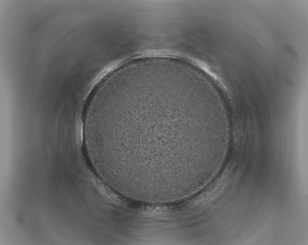X0000112801221200908281521