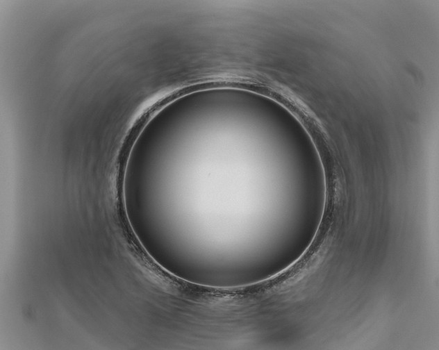 X0000112801222200908281521