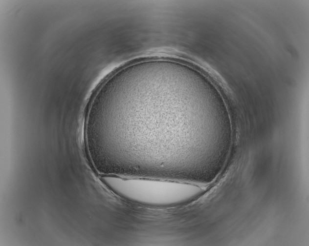 X0000112801224200908281521