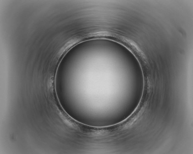 X0000112801225200908281521