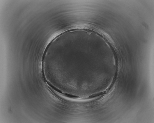 X0000112801226200908281521