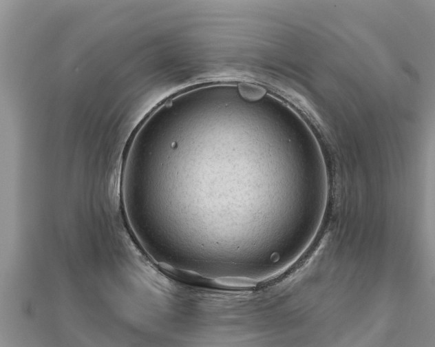 X0000112801228200908281521