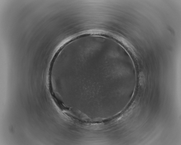 X0000112801229200908281521